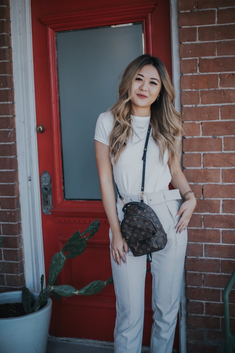 Louis Vuitton Palm Springs Backpack Mini Review | Demi Bang