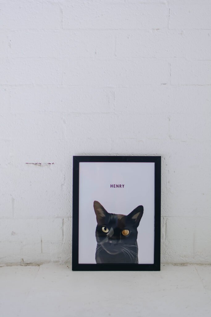 Arizona cat portrait of bombay cat, Henry, from West & Willow.