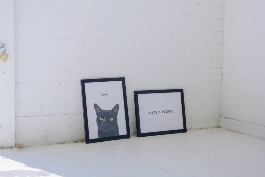 Cat portraits from West & Willow.