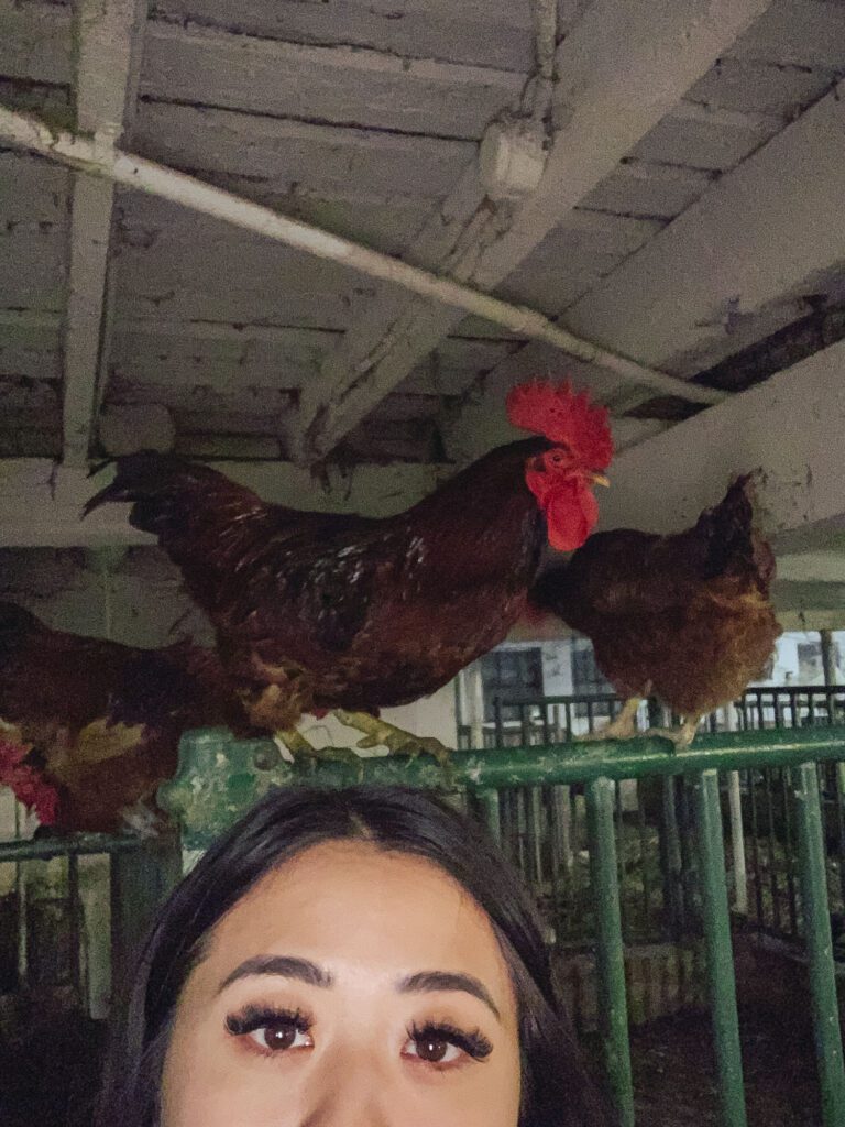 Lifestyle blogger Demi Bang taking a selfie with roosters.