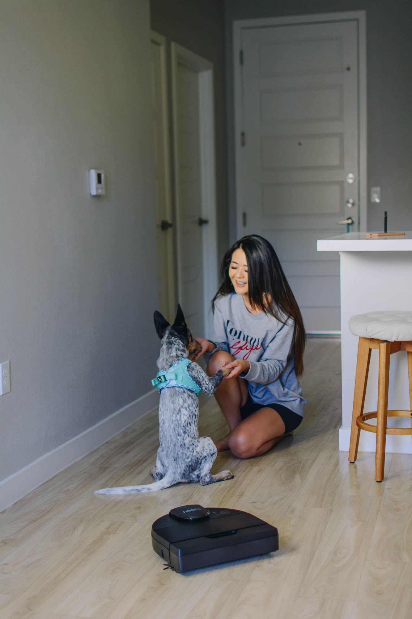 Blogger Demi Bang talks about why having an electric vacuum is nice to have for pet owners.
